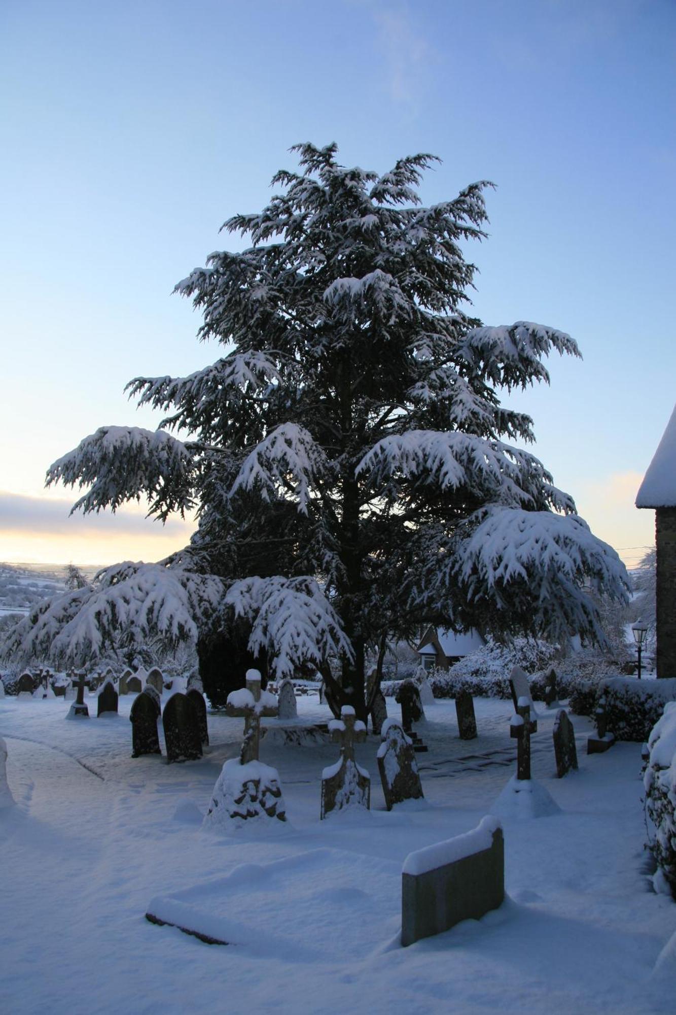 Bed and Breakfast The Belfry At Yarcombe Esterno foto